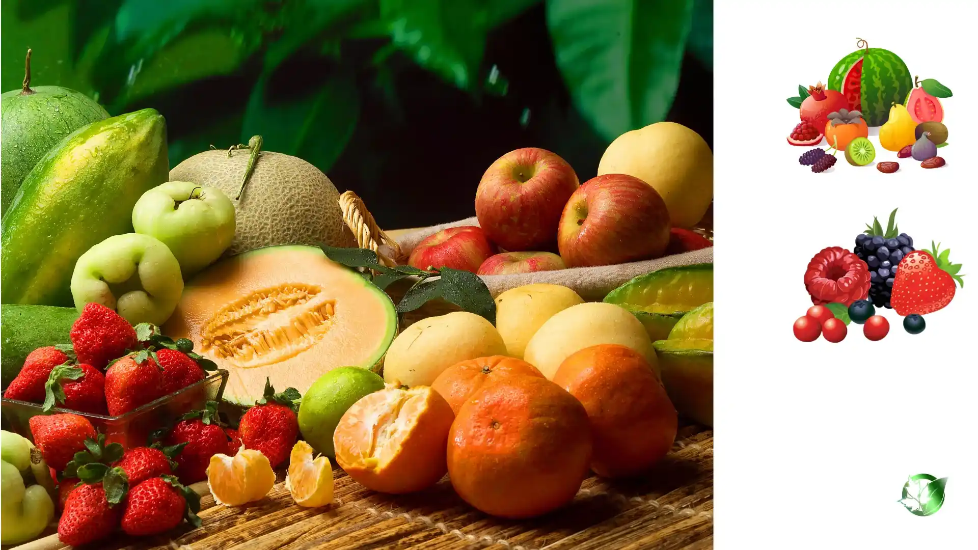 Fresh Fruits quality, format, and packaging should be matched to the buyer’s target application.